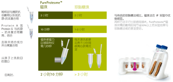 免疫沉淀解决方案- 天津市莱博科技有限公司